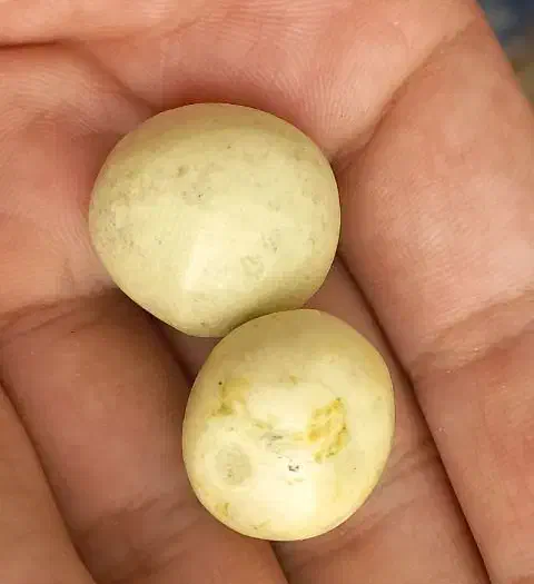 گوهر شب چراغ|جواهرات|شیراز, کوشک میدان|دیوار