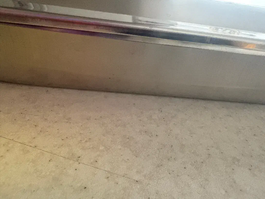 ظرف بن ماری|ظروف پختوپز|تهران, نیروی هوایی (پیروزی)|دیوار