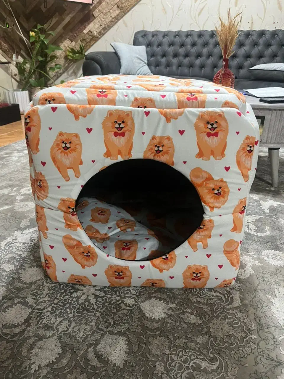 تشک دو حالت حیوان خانگی|لوازم جانبی حیوانات|رشت, حمیدیان|دیوار