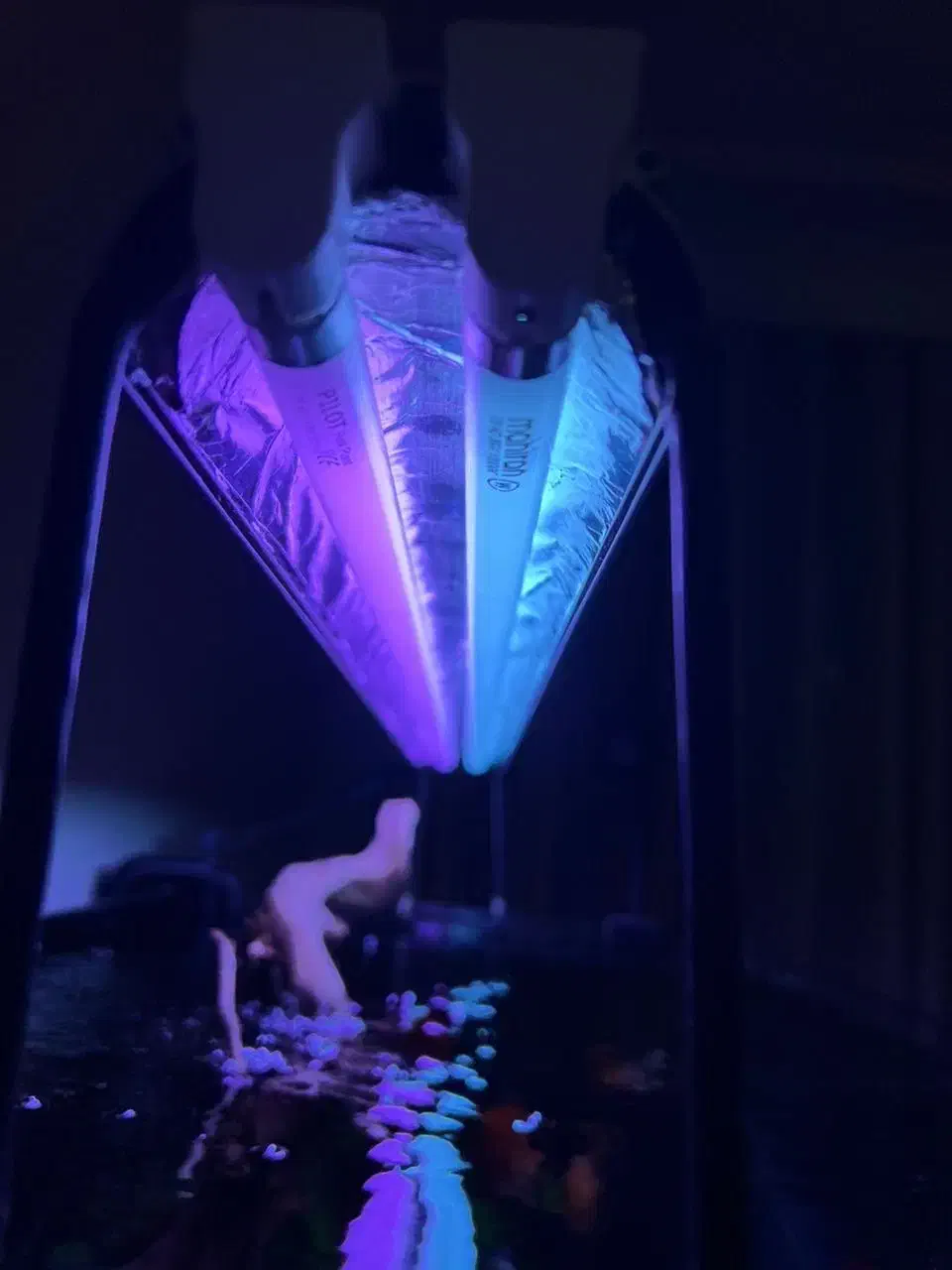 لامپ تخصصی آکواریوم مهتابی|ماهی|تهران, دارآباد|دیوار