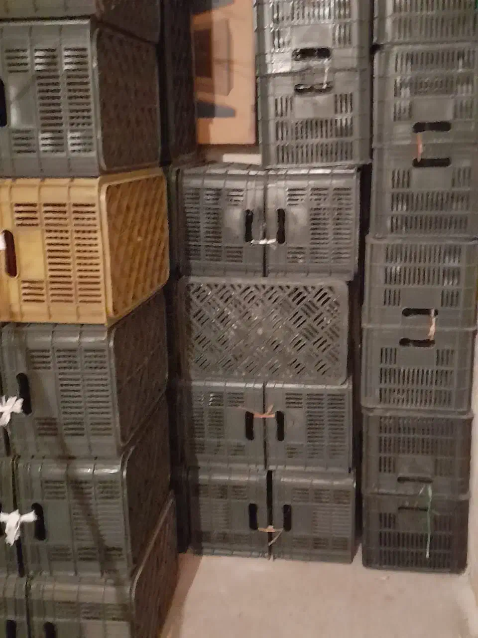 سبدمیوه همه کاره|صنایع دستی و سایر لوازم تزئینی|کازرون, |دیوار