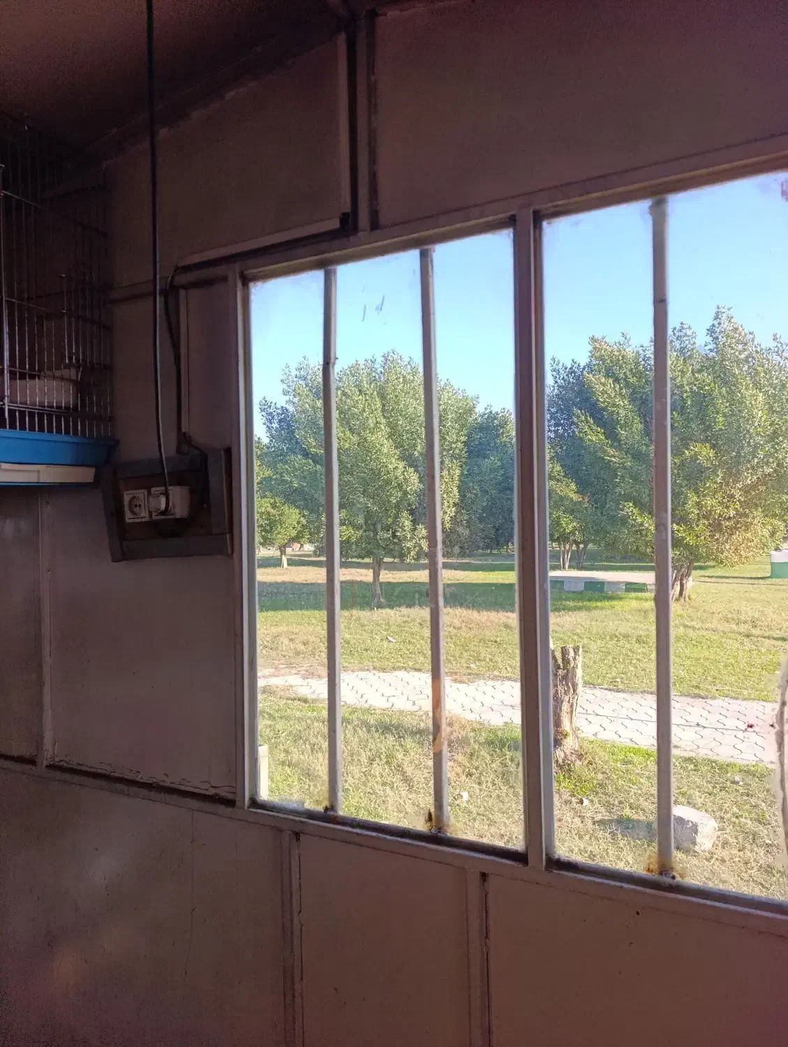 کانکس دکه در بهترین سایز|مصالح و تجهیزات ساختمان|اهواز, زیتون کارمندی|دیوار