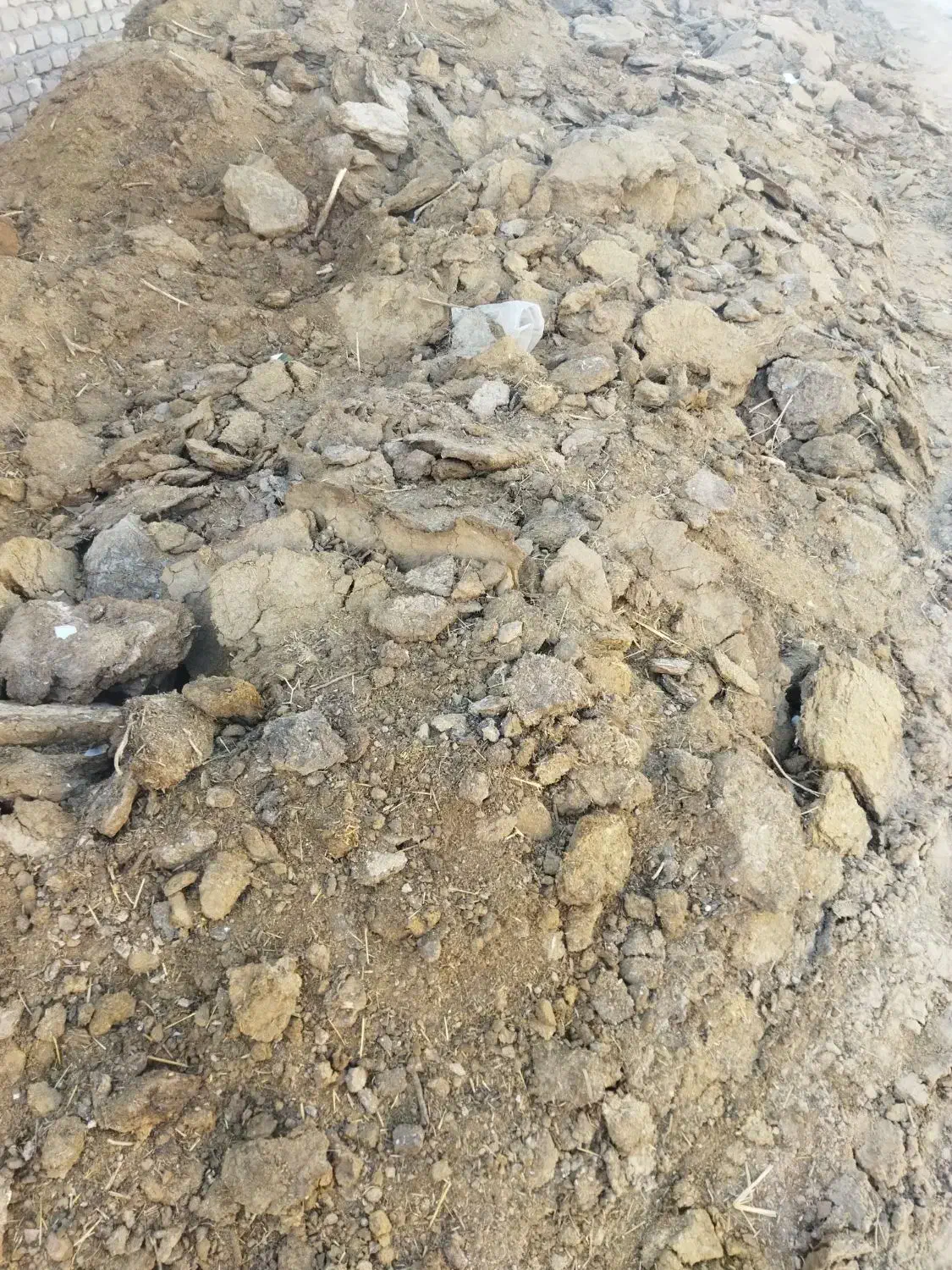 کود گوسفندی|لوازم جانبی حیوانات|یزد, |دیوار