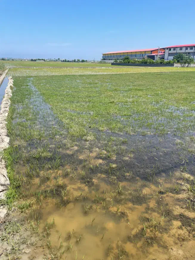 زمین صنعتی جنب شهرک صنعتی|فروش دفتر صنعتی، کشاورزی، تجاری|بابلسر, |دیوار