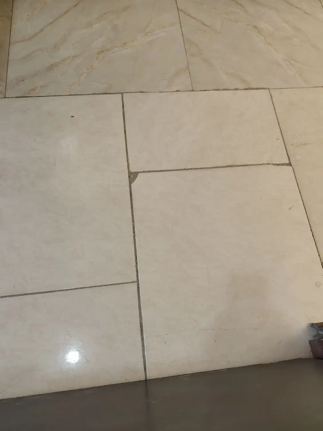 زمین مشاع باسند تک برگ|فروش زمین و ملک کلنگی|سیب و سوران, |دیوار