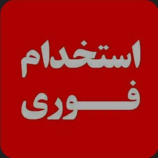 استخدام نیروی آشنا با حسابداری و سایت|استخدام مالی، حسابداری، حقوقی|شیراز, وصال|دیوار