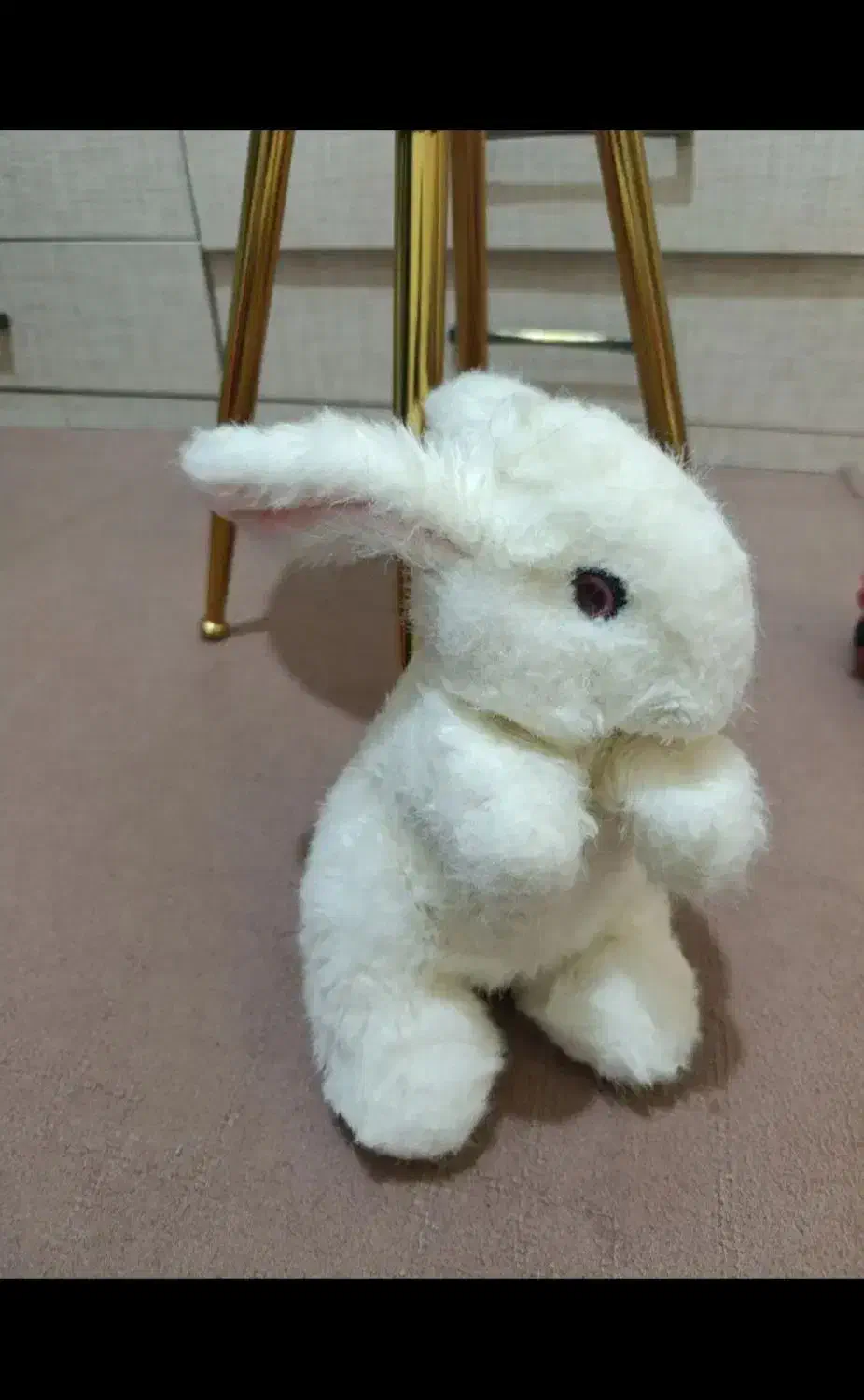 عروسک سالم ده عدد|اسباب‌‌بازی|کرمانشاه, |دیوار