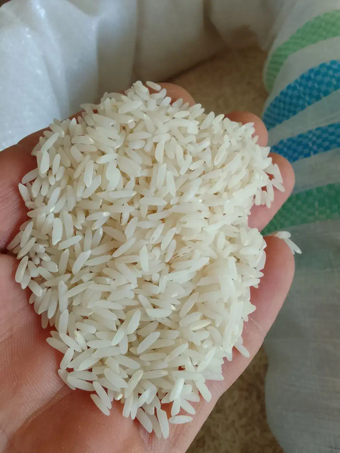برنج طارم هاشمی سرلاشه و نیم دونه|خوردنی و آشامیدنی|نوشهر, |دیوار