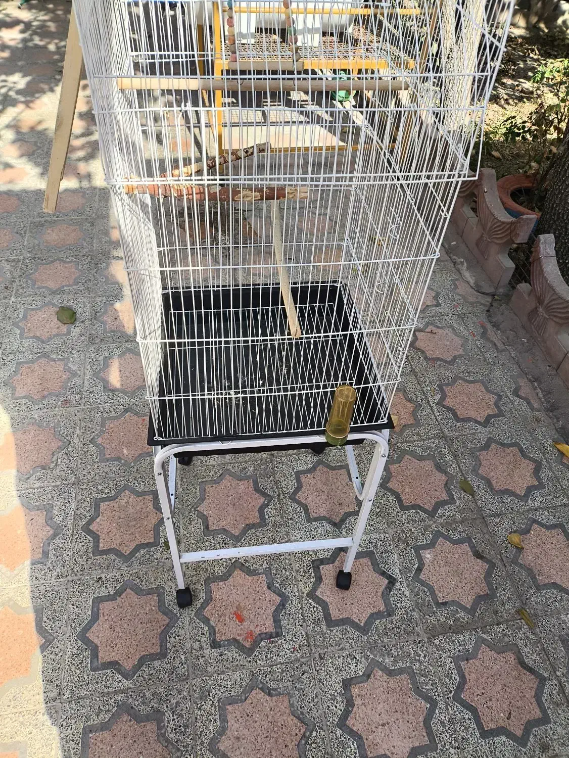 قفس پرنده کاسکو و عروس هلندی|لوازم جانبی حیوانات|اصفهان, آبشار|دیوار