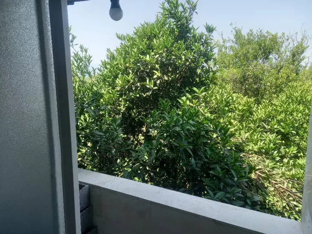 اجاره سالانه خانه در اسکومحله امامزاده عبدالله|اجارهٔ خانه و ویلا|امامزاده عبدالله, |دیوار