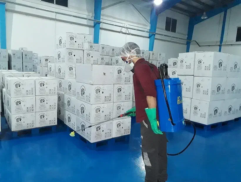 سمپاشی حشرات و جوندگان / فروش حشره کش خانگی|خدمات نظافت|کاشان, بهشتی|دیوار