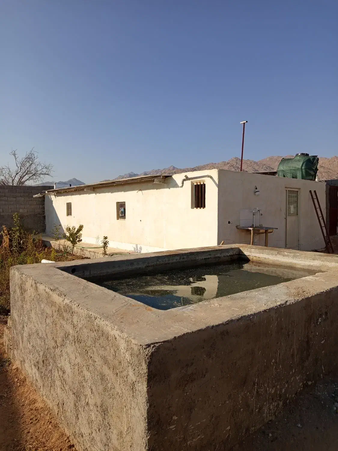 خانه باغ و سالن مرغداری خونه باغ|فروش خانه و ویلا|نیر (یزد), |دیوار