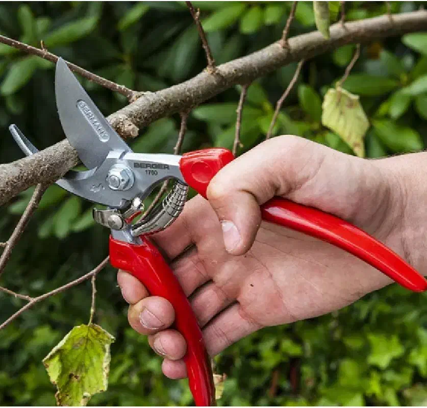 خدمات باغداری|خدمات باغبانی و درختکاری|آمل, |دیوار