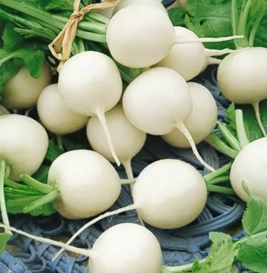 ترب ترد و آب یخ خورده|خوردنی و آشامیدنی|باوله, |دیوار