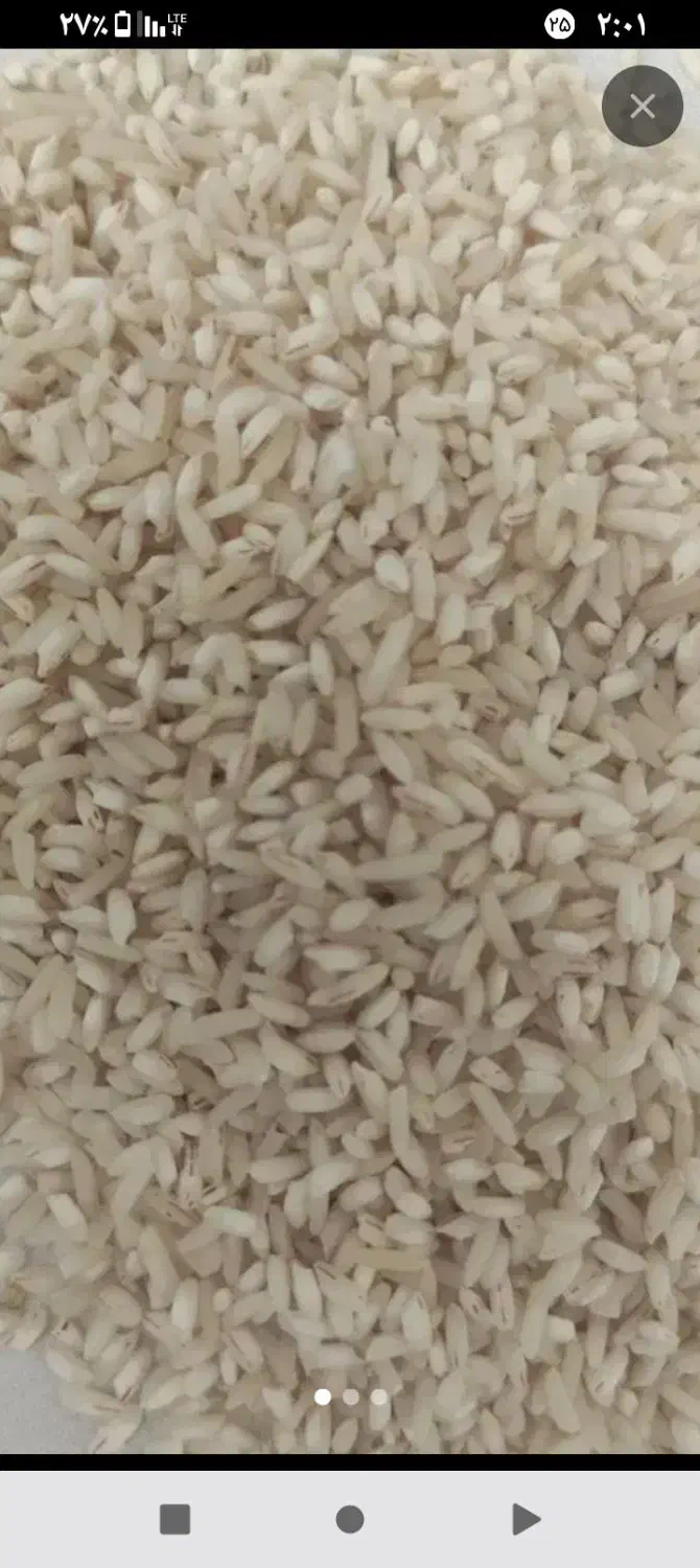 برنج دخلی|خوردنی و آشامیدنی|کیاشهر, |دیوار