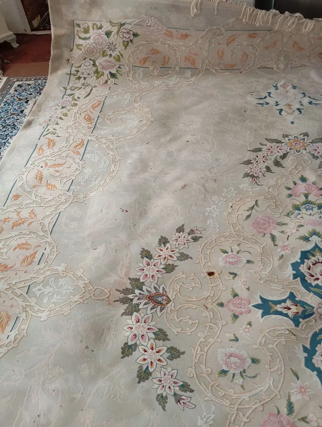 فرش ماهریس|فرش|شاندیز, |دیوار