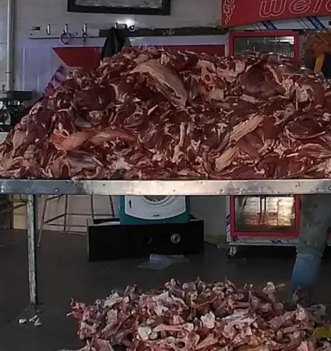 فروش عمده و جزیی گوشت بره.گوساله و گوسفندی|عمده‌فروشی|اصفهان, دشتستان|دیوار