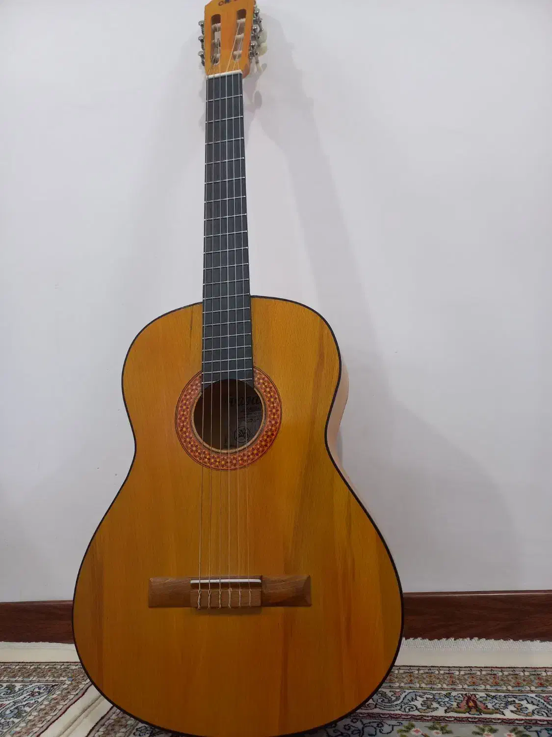 گیتار mv3|گیتار، بیس، امپلیفایر|مشهد, قائم|دیوار