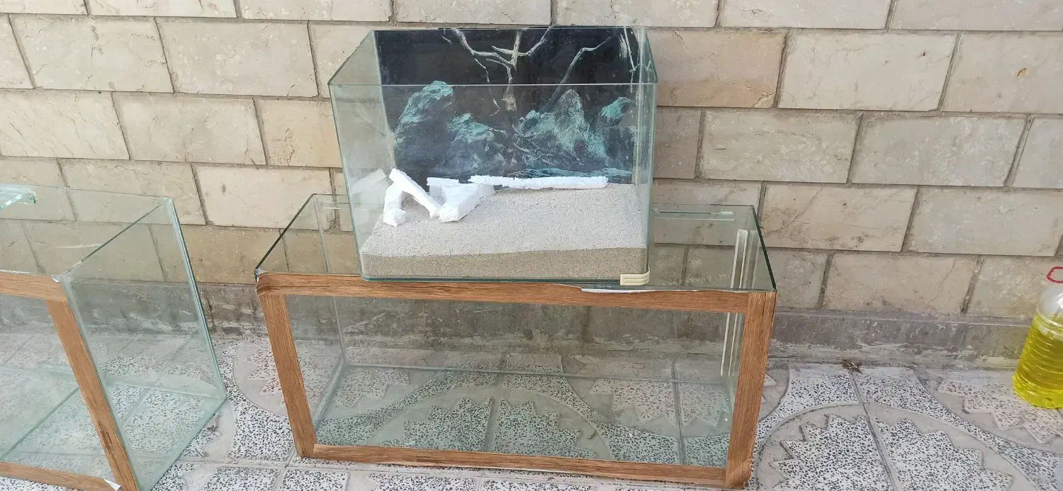 سه عدد اکواریوم|ماهی|شیراز, زرهی|دیوار