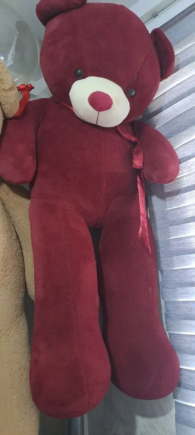 خرس|اسباب‌‌بازی|اردبیل, |دیوار