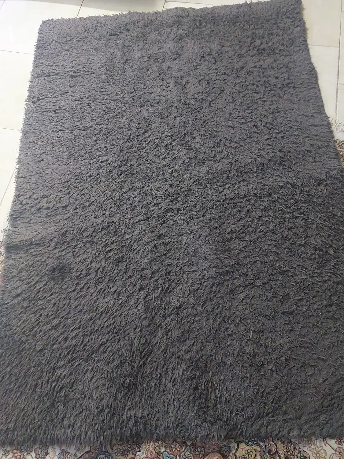 فرش فانتزی|فرش|مشهد, ترمینال|دیوار