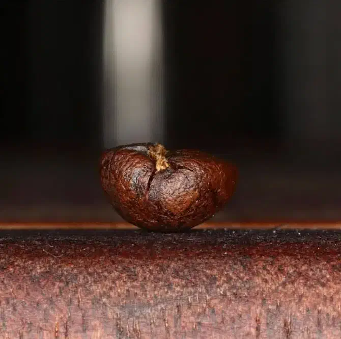 کافه و باریستا|خدمات آموزشی|تهران, ایرانشهر|دیوار