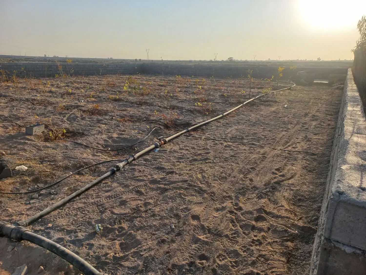 باغچه ۵۱۰ متری|فروش زمین و ملک کلنگی|قنوات, |دیوار