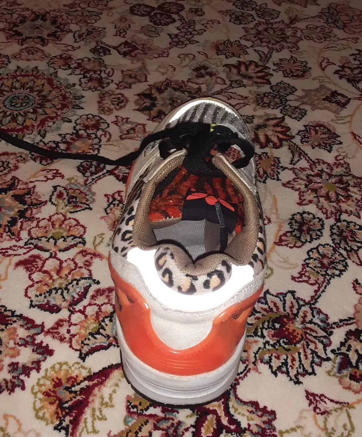 کفش زد ایکس|کیف، کفش، کمربند|کوهدشت, |دیوار