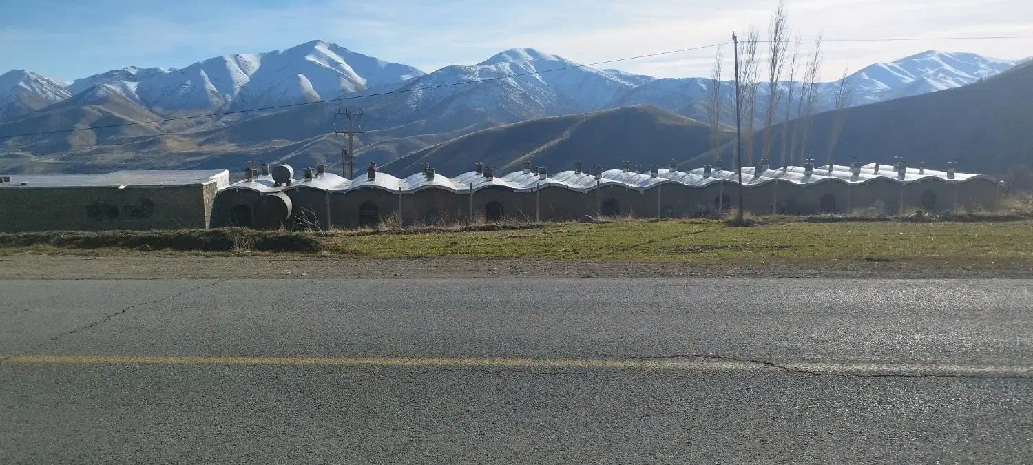 مرغداری5000قطعه ای|فروش دفتر صنعتی، کشاورزی، تجاری|موچش, |دیوار