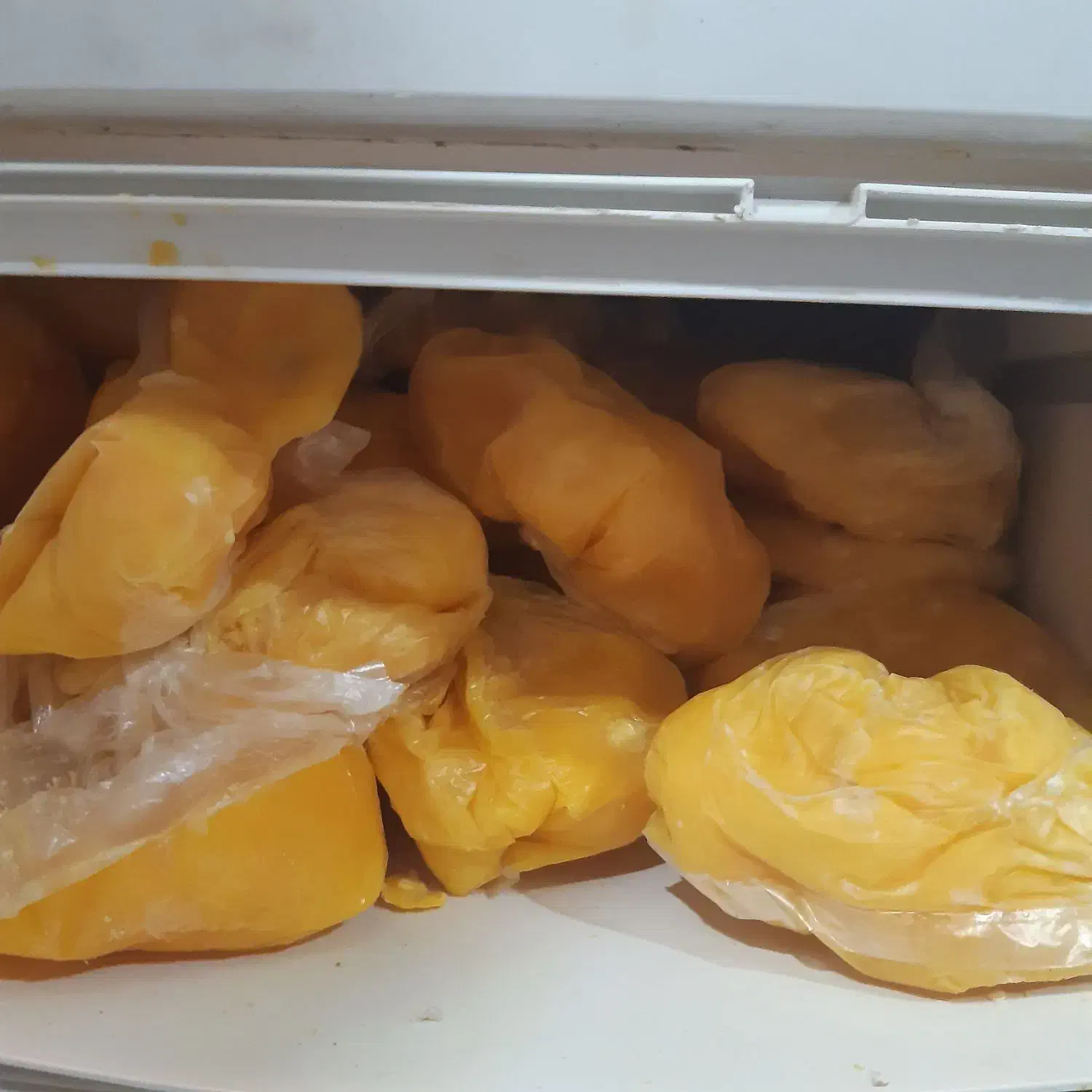 زرده تخم مرغ یخ زده|خوردنی و آشامیدنی|قائمشهر, |دیوار