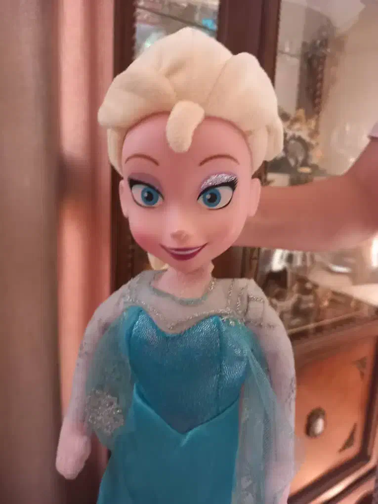 دو تا عروسک فروزان و زبر بشقابی|اسباب‌بازی بچه|تهران, پاسداران|دیوار