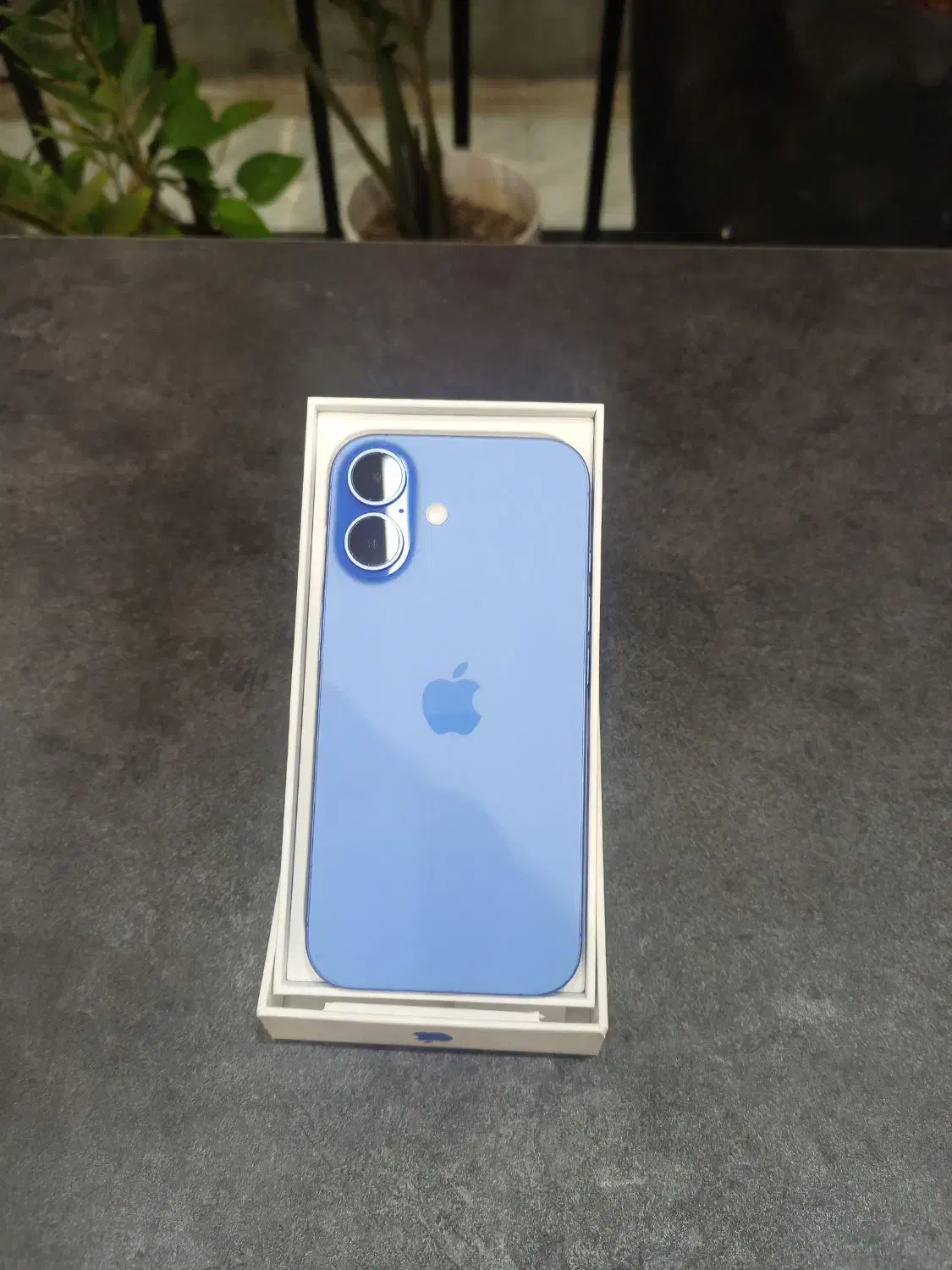 آیفون 16 نرمال|موبایل|یزد, |دیوار