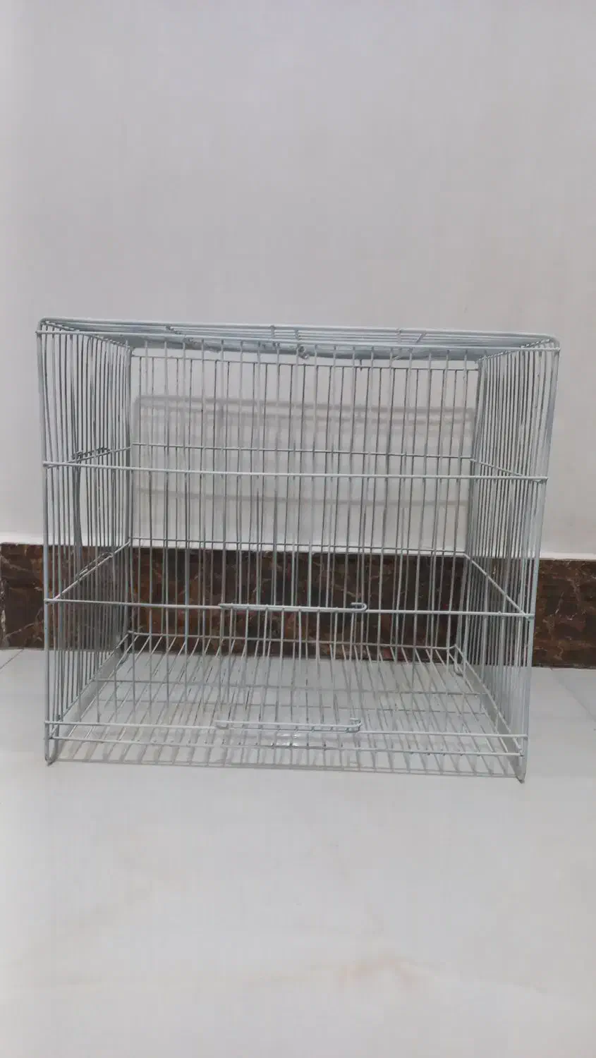 قفس پرنده|لوازم جانبی حیوانات|نسیم‌شهر, |دیوار