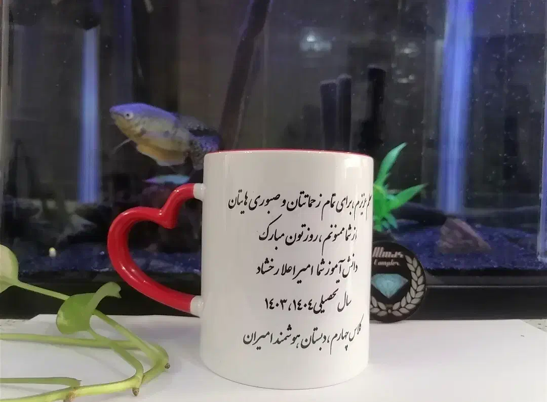 ماگ|لوازم جانبی موبایل و تبلت|رشت, پاستوریزه|دیوار