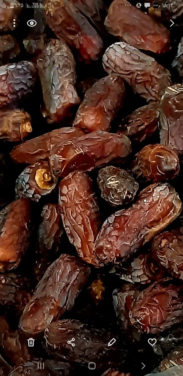 خرمای پیارم درجه ۱ گوشتی و بسیار با کیفیت|خوردنی و آشامیدنی|شیراز, باغ تخت|دیوار
