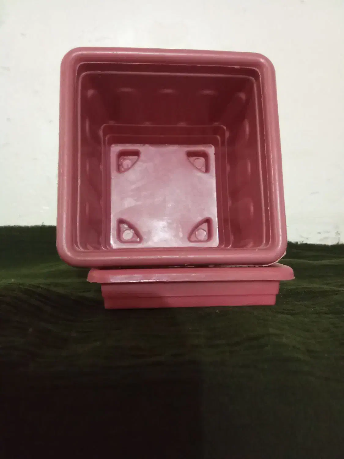 فروش گلدان ب صورت عمده|گل و گیاه طبیعی|الیگودرز, |دیوار