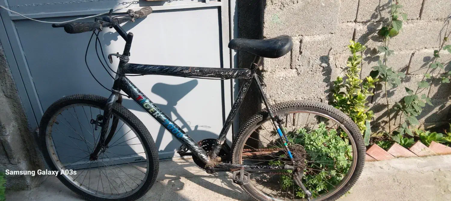 دوچرخه دنده ای|دوچرخه، اسکیت، اسکوتر|لیسار, |دیوار