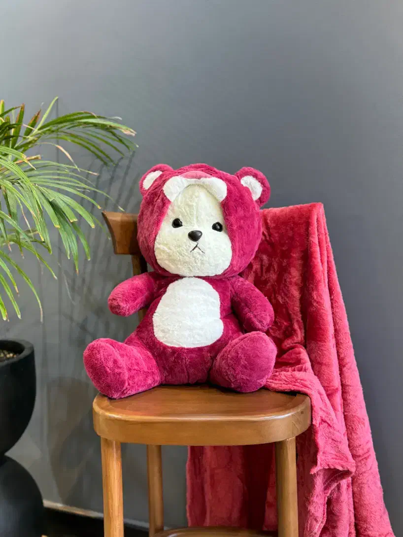 پتو عروسکی|رختخواب، بالش، پتو|مشهد, هفده شهریور|دیوار