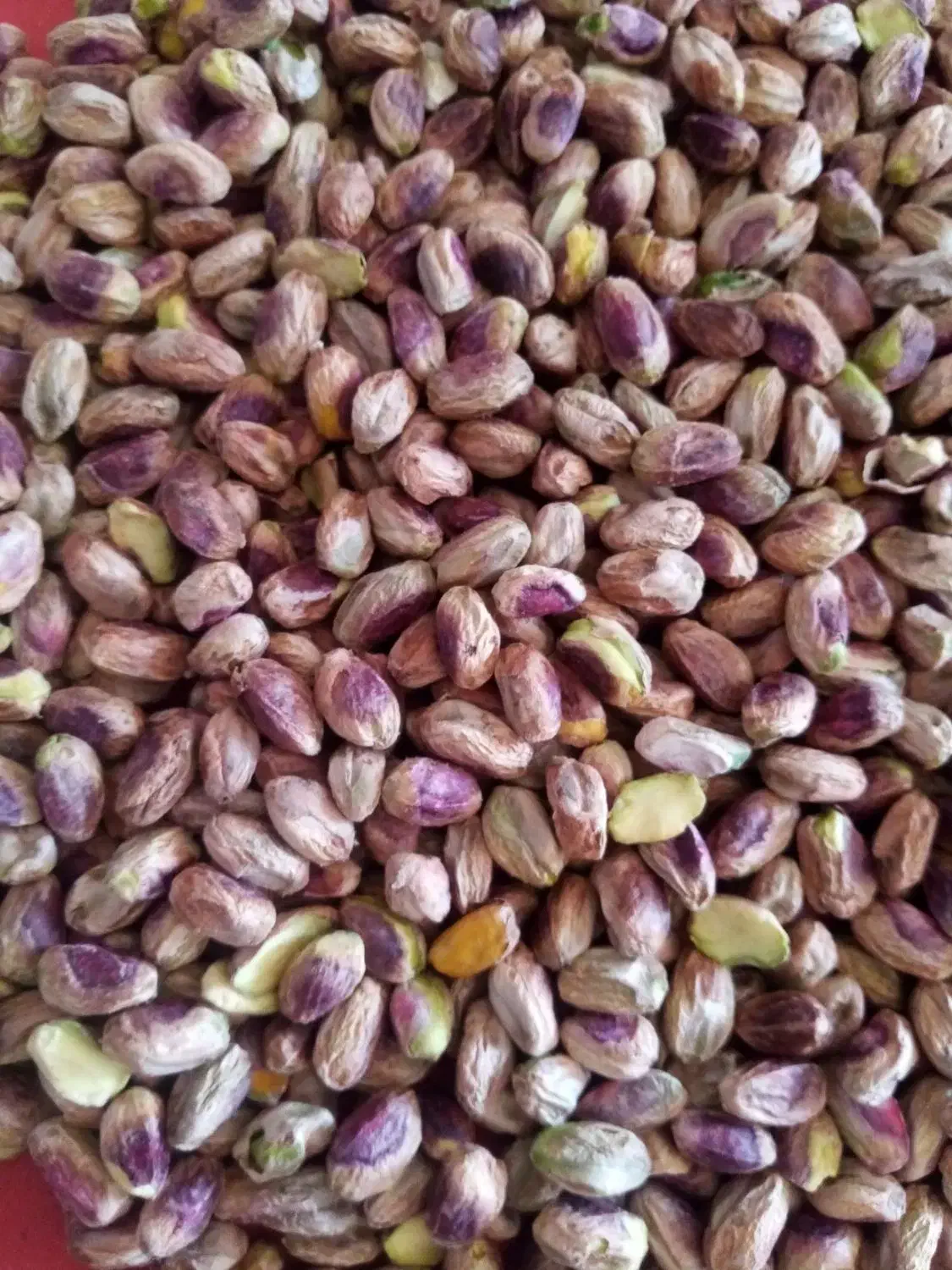 مغز پسته|خوردنی و آشامیدنی|رشت, چله خانه|دیوار