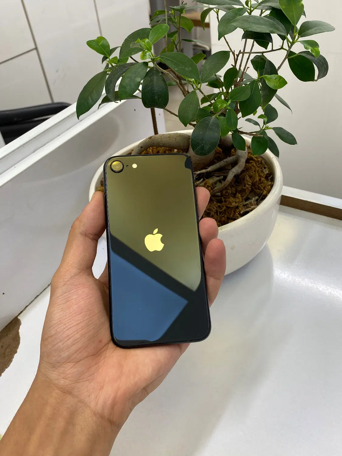 Iphone Se2020|موبایل|تهران, بلوار کشاورز|دیوار