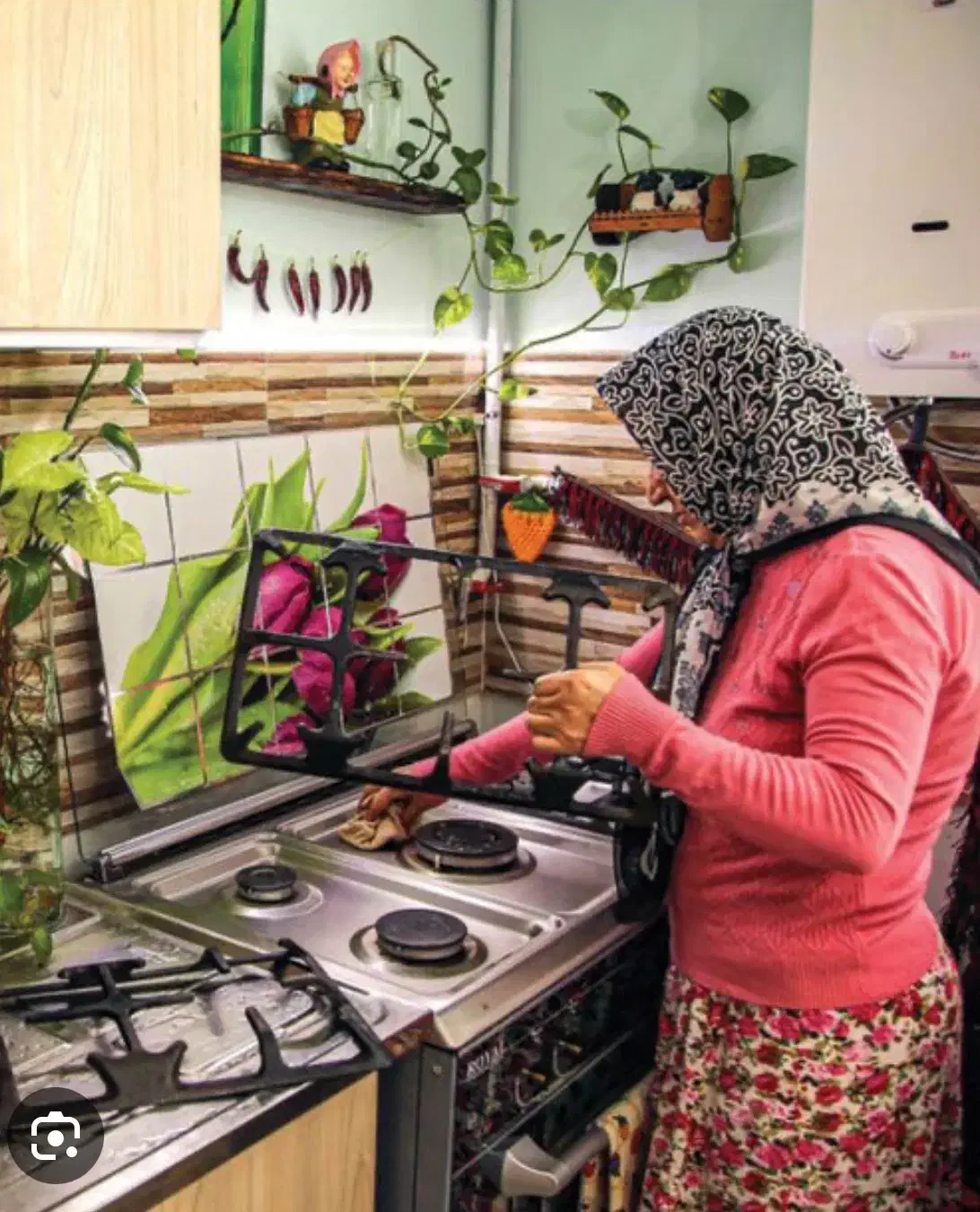 اشپزی و نظافت منزل|استخدام سرایداری و نظافت|شیراز, شهرک گلدشت حافظ|دیوار