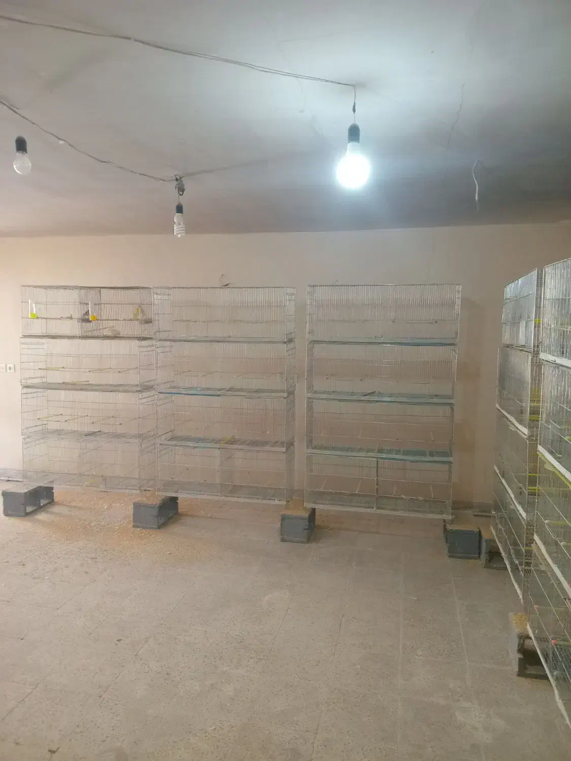 قفس|لوازم جانبی حیوانات|برخوار, |دیوار