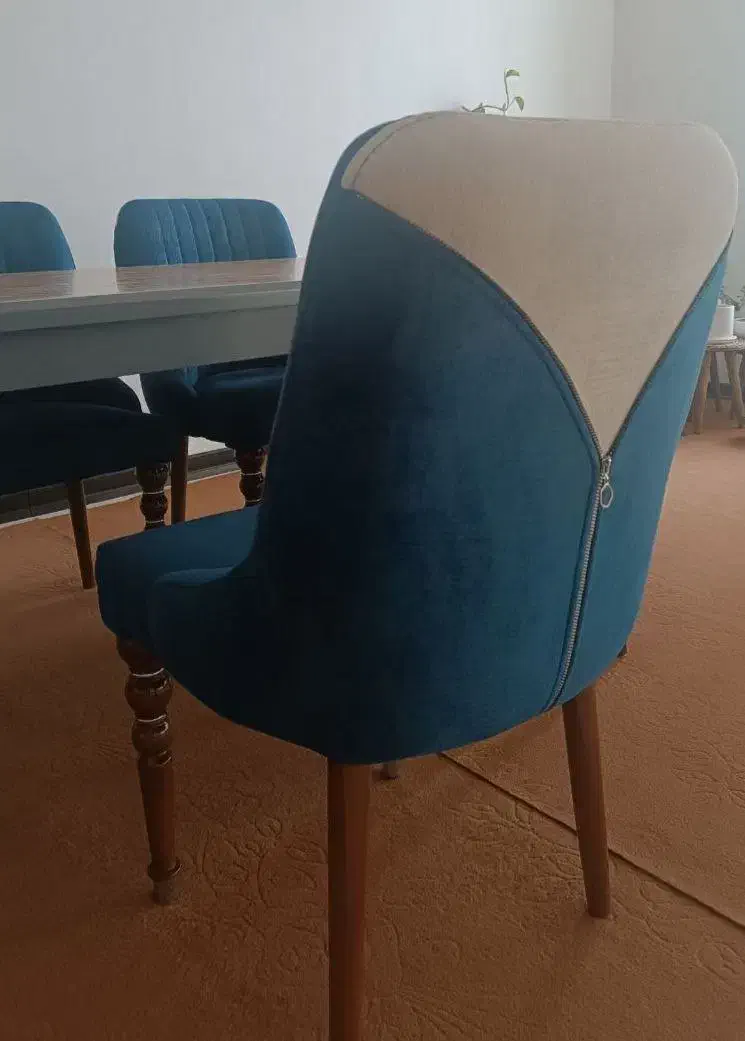 میز ناهارخوری ۶نفره|میز و صندلی غذاخوری|سمیرم, |دیوار