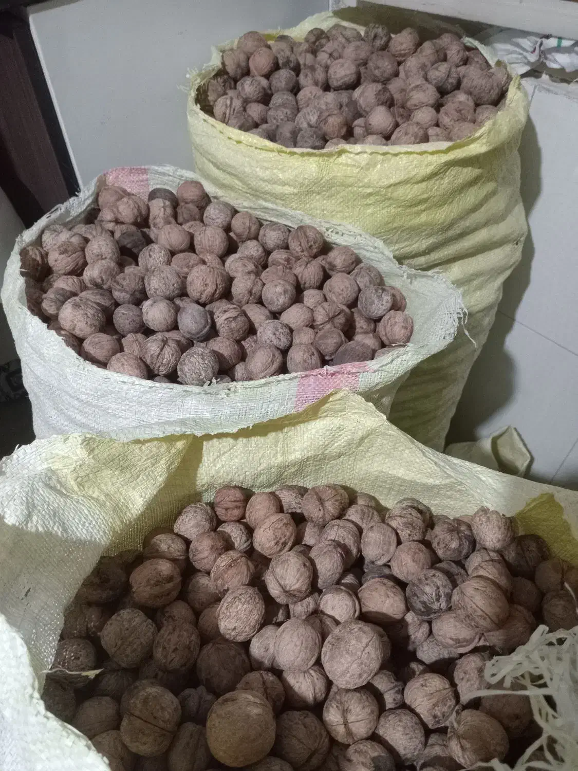 گردو محلی اورگانیک|خوردنی و آشامیدنی|کرج, حصارک بالا|دیوار