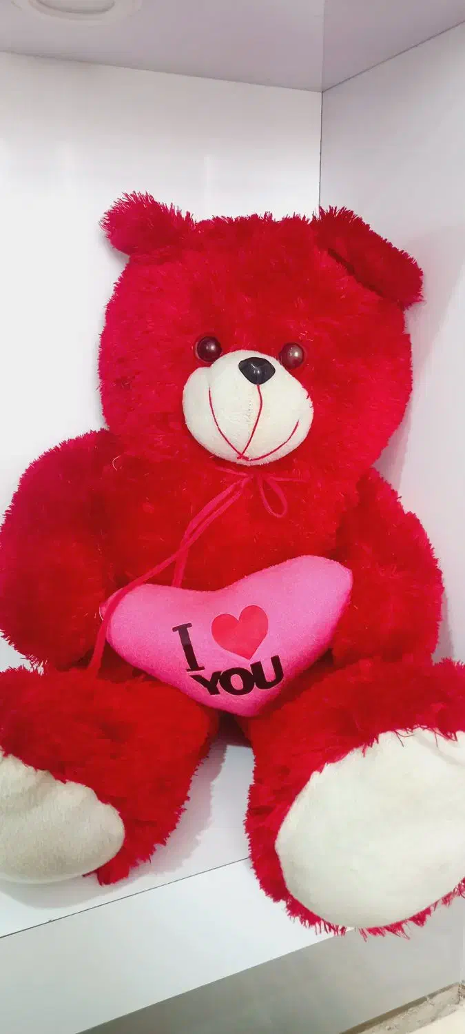 خرس|اسباب‌بازی بچه|خرمشهر, |دیوار