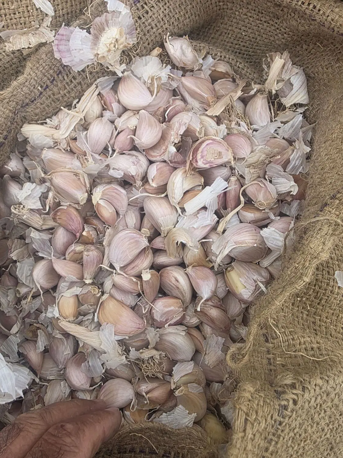 سایر|خوردنی و آشامیدنی|پارس‌آباد, |دیوار