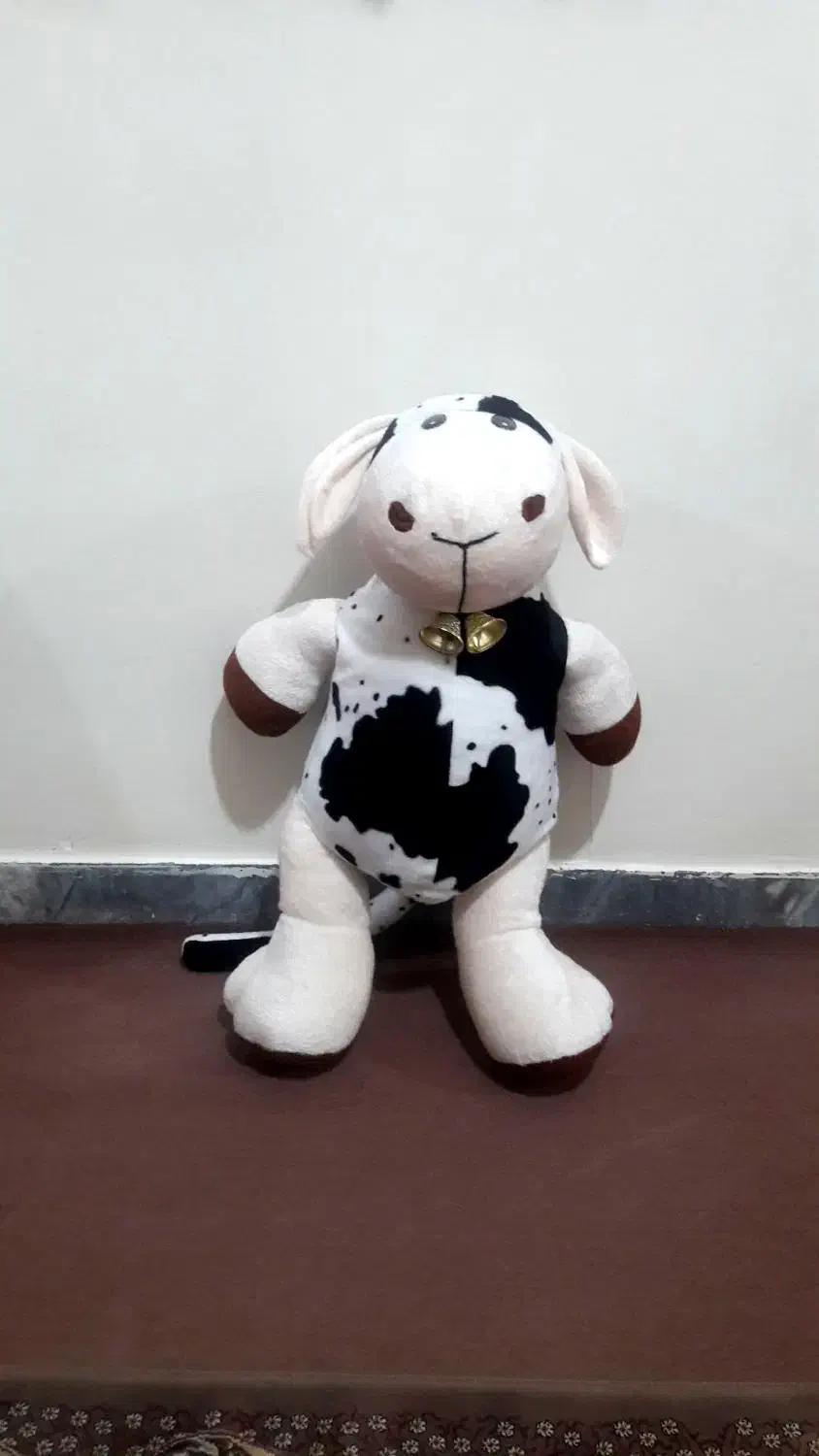 عروسک|اسباببازی بچه|کرج, حصارک پایین|دیوار