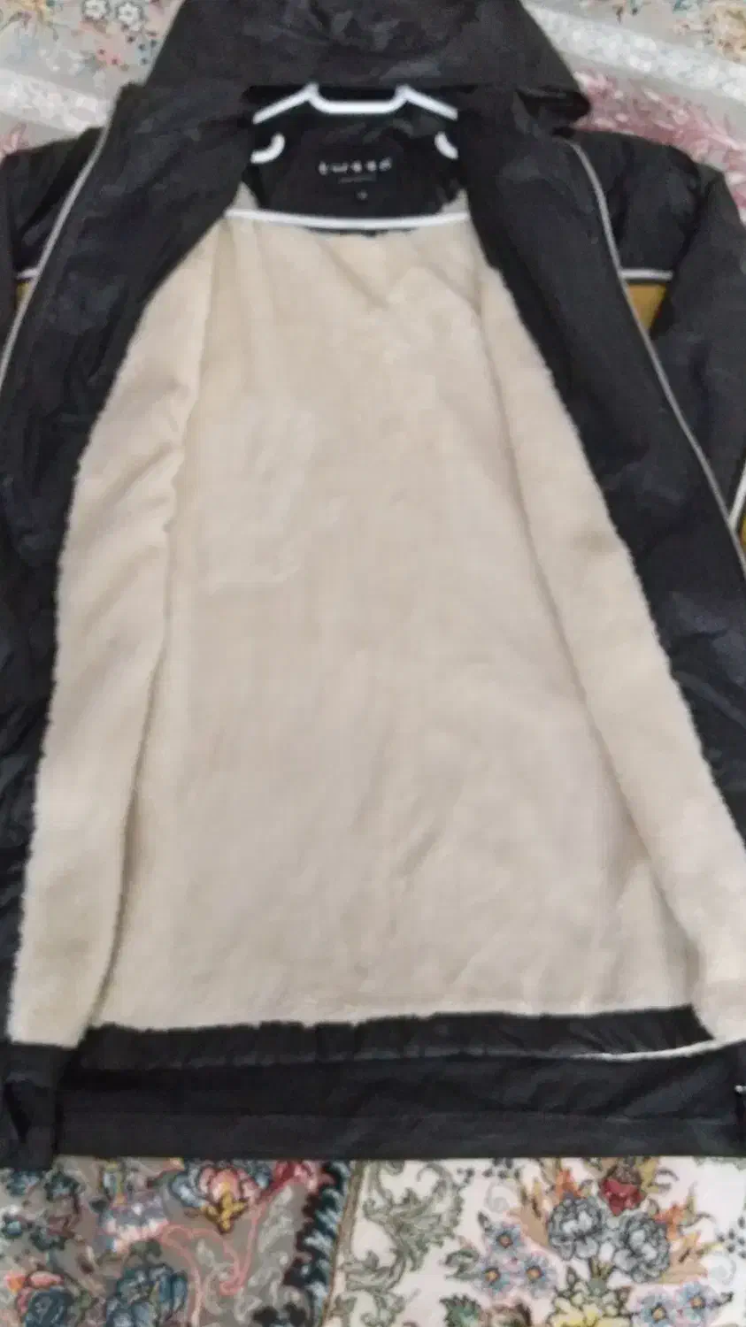 بارانی|لباس|پارسآباد, |دیوار