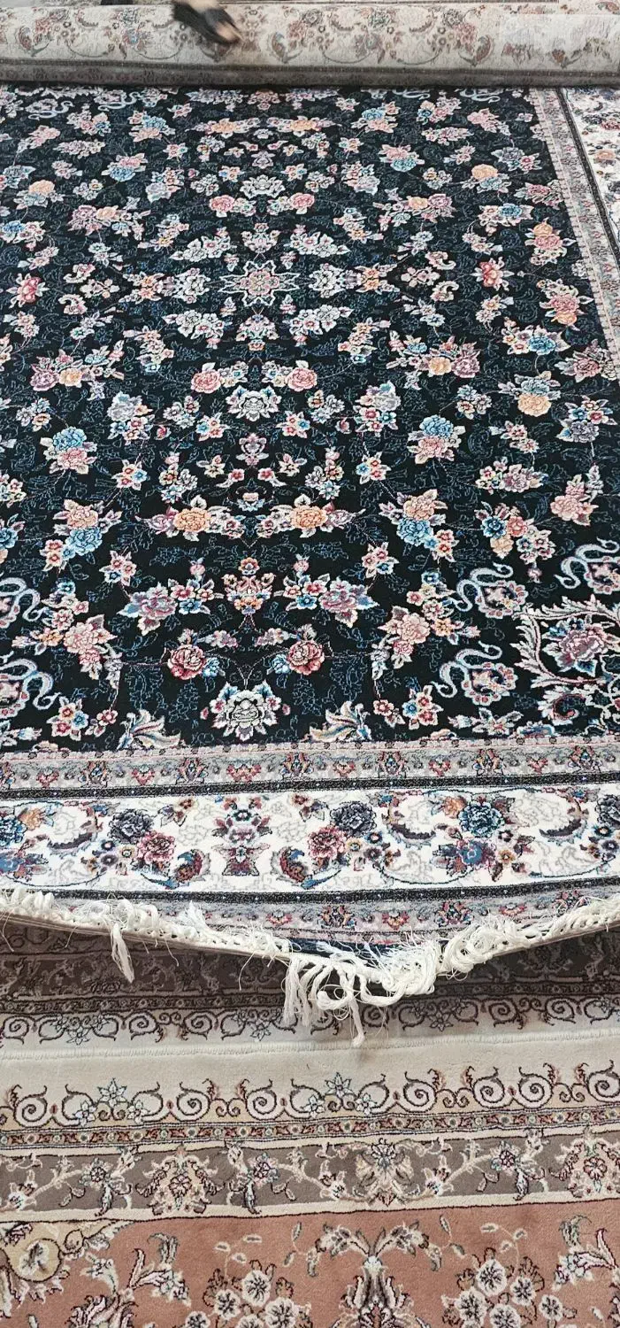 فرش ۶ متری|فرش|قم, باغ پنبه|دیوار