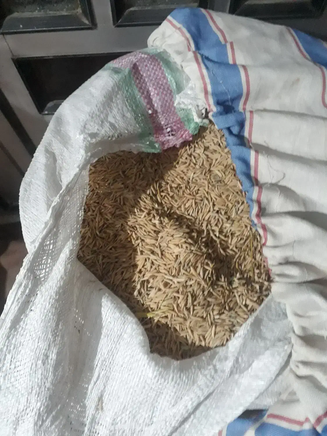 شالی فجر سوزنی|خوردنی و آشامیدنی|تاتار علیا, |دیوار